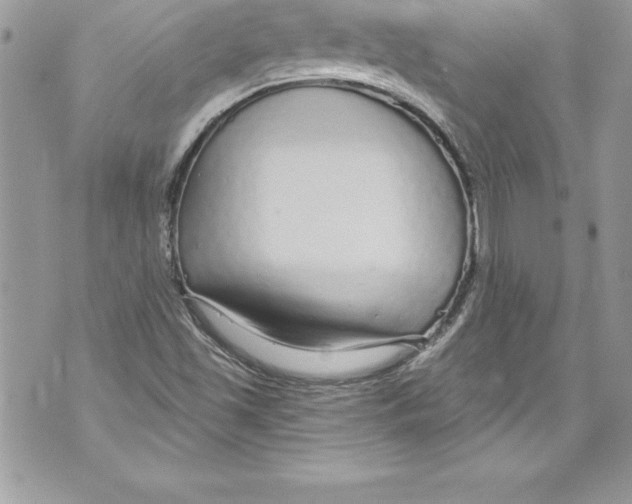 X0000070881501200607150133