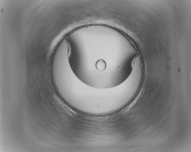 X0000070881502200607150133