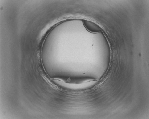 X0000070881503200607150133