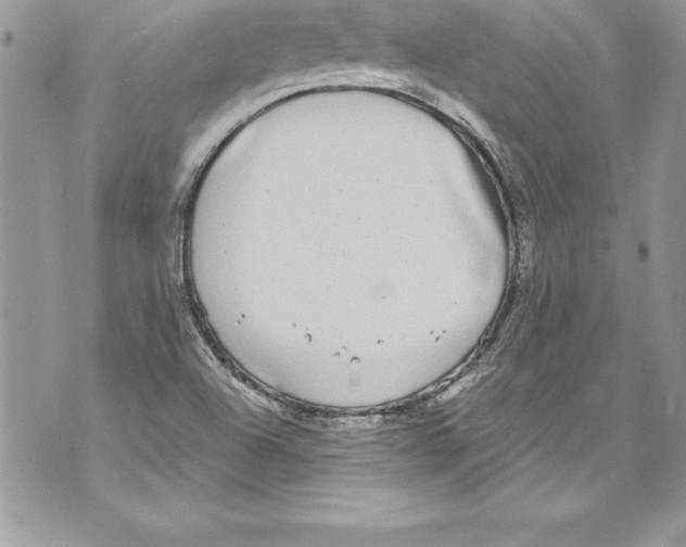 X0000070881504200607150133