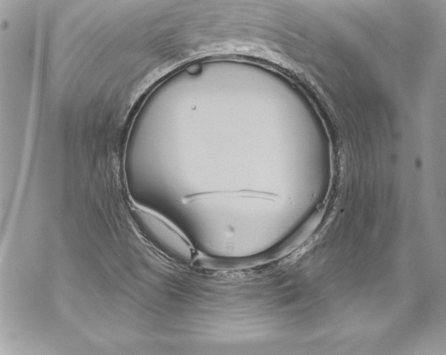 X0000070881505200607150133