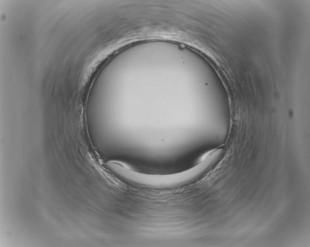 X0000070881507200607150133