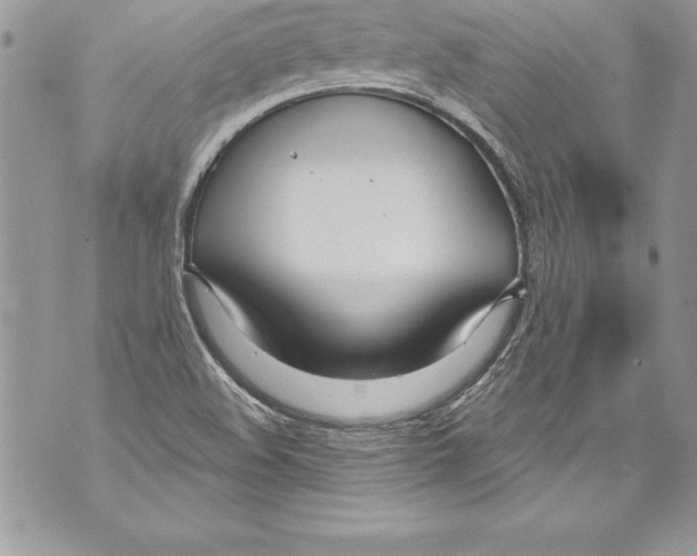 X0000070881508200607150133