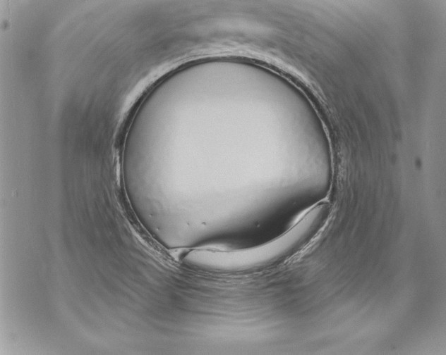 X0000070881509200607150133