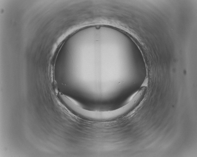 X0000070881510200607150133