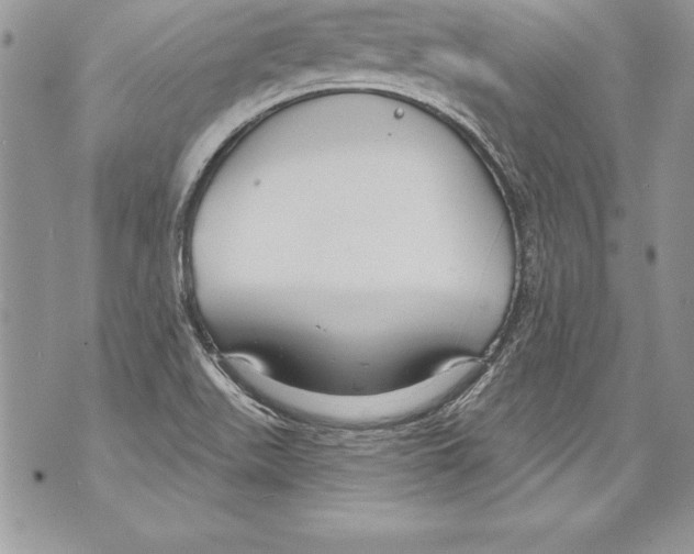 X0000070881511200607150133