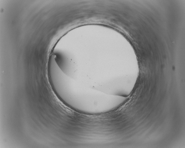 X0000070881512200607150133