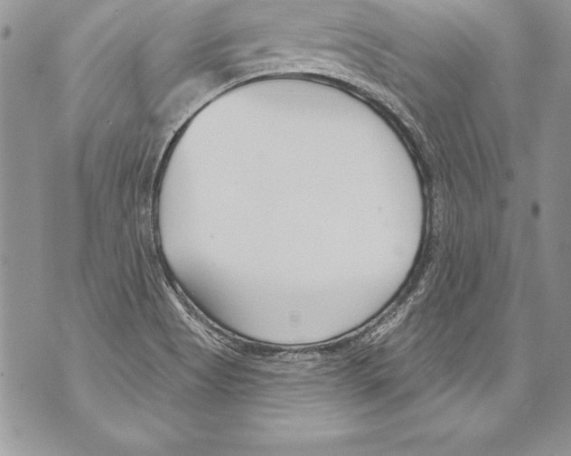 X0000070881513200607150133