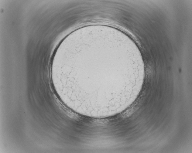 X0000070881514200607150133