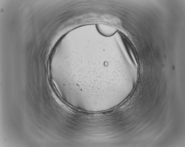 X0000070881515200607150133