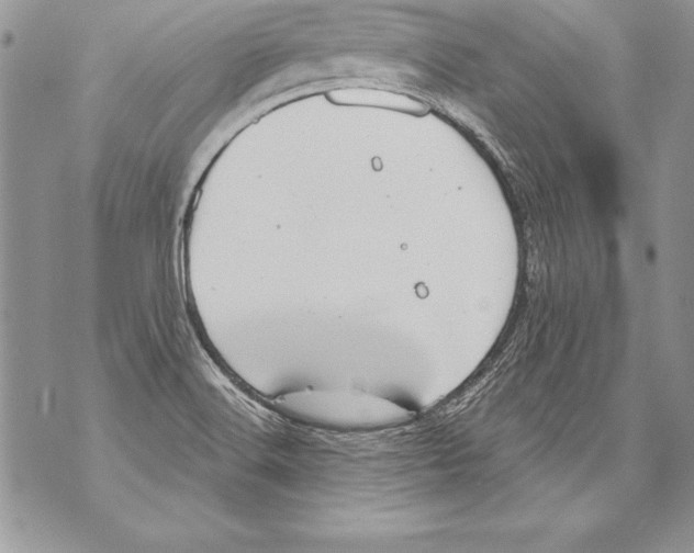 X0000070881516200607150133