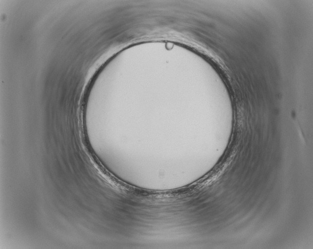 X0000070881517200607150133