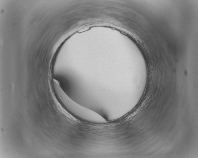 X0000070881518200607150133