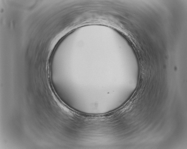 X0000070881519200607150133