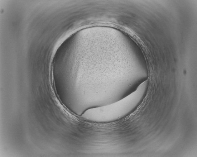 X0000070881520200607150133