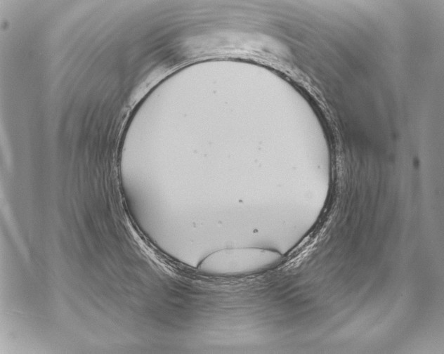 X0000070881521200607150133