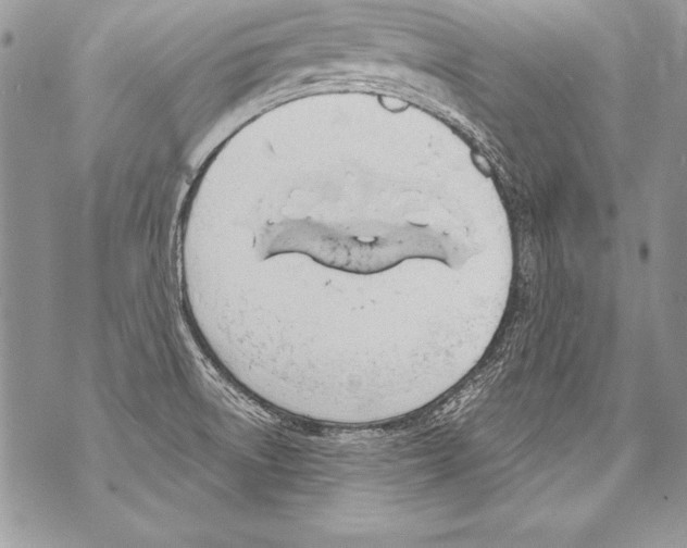 X0000070881522200607150133