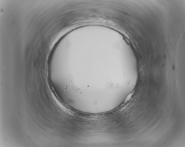 X0000070881523200607150133