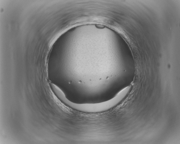 X0000070881524200607150133