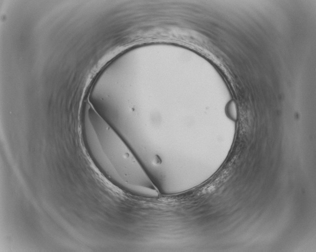 X0000070881525200607150133