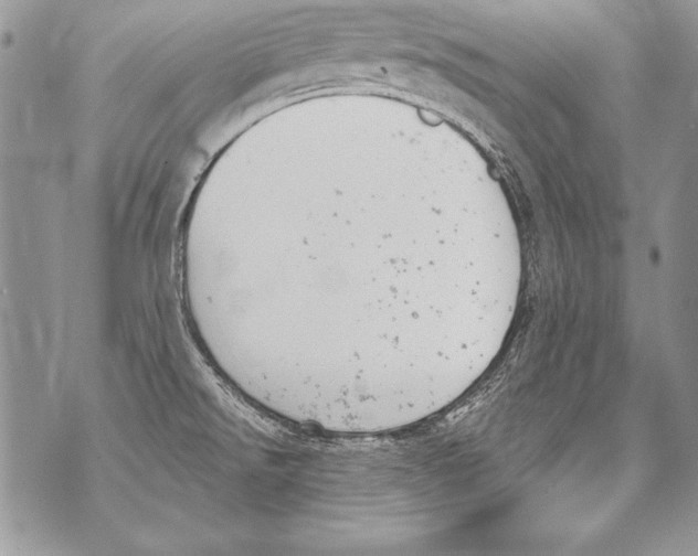 X0000070881526200607150133