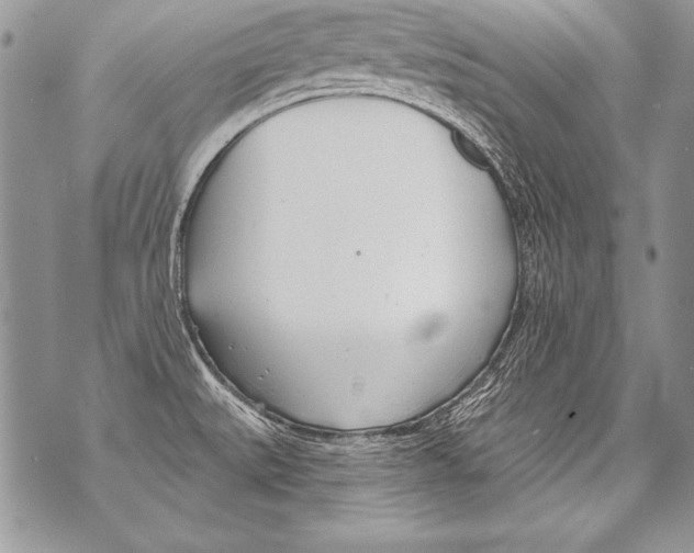 X0000070881527200607150133