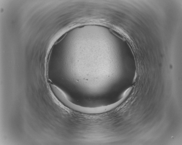 X0000070881528200607150133