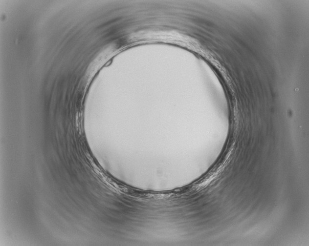 X0000070881529200607150133