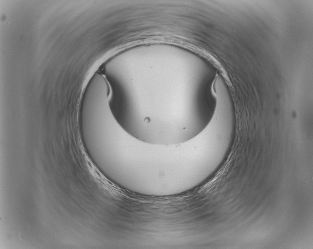 X0000070881530200607150133