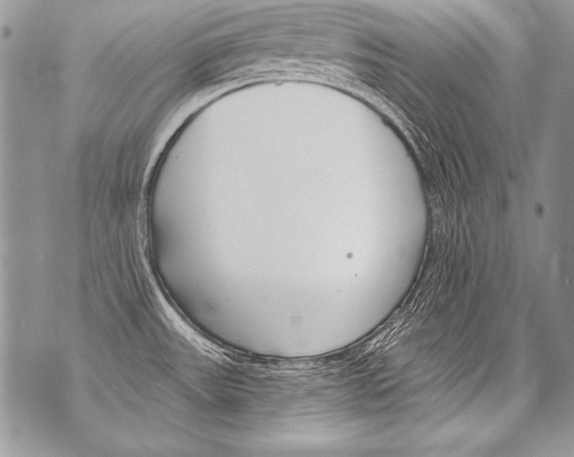 X0000070881531200607150133