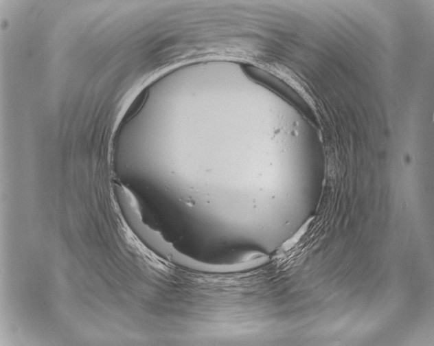 X0000070881532200607150133