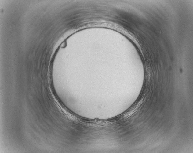 X0000070881533200607150133