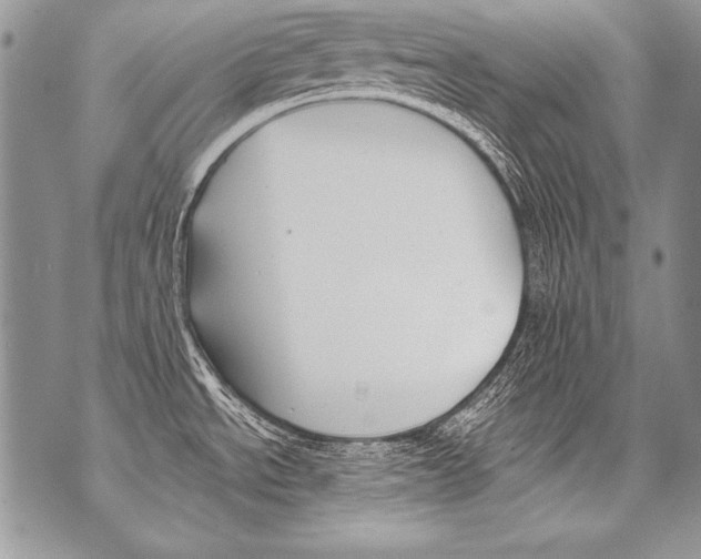 X0000070881534200607150134