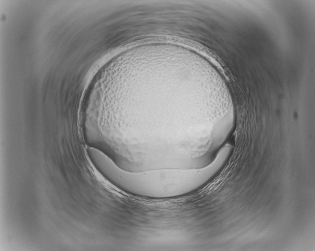 X0000070881535200607150134