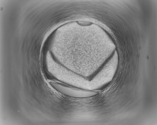 X0000070881536200607150134