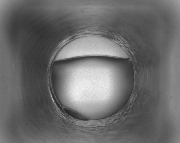 X0000071330003200606230816