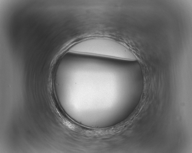 X0000071330005200606230815