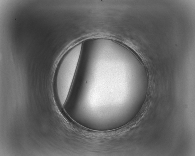 X0000071330007200606230815