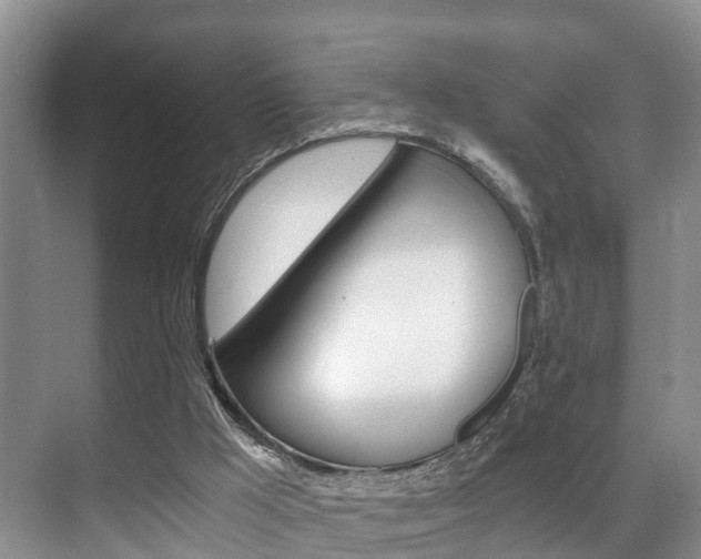 X0000071330009200606230815