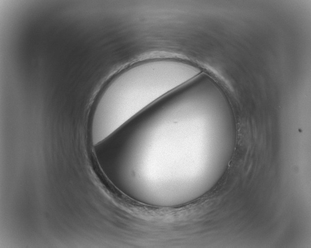 X0000071330015200606230815