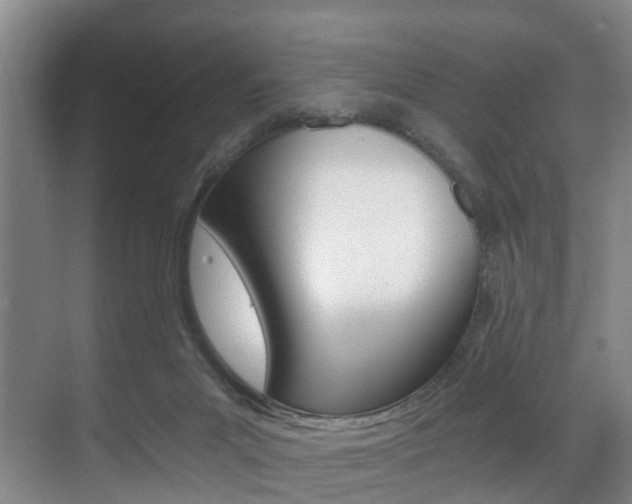X0000071330023200606230815