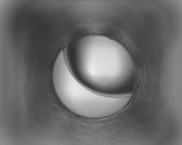 X0000071330029200606230815