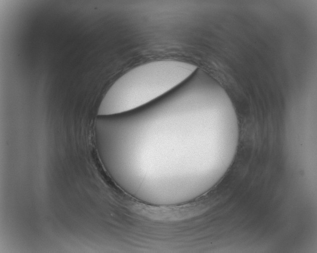 X0000071330030200606230815