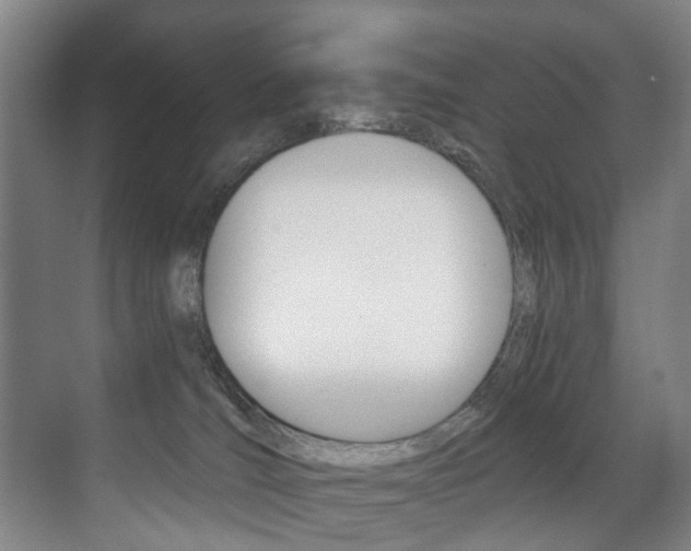 X0000071330036200606230815