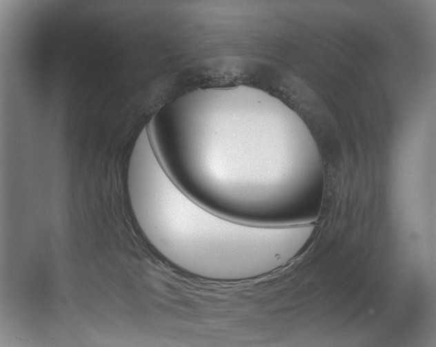 X0000071330037200606230815