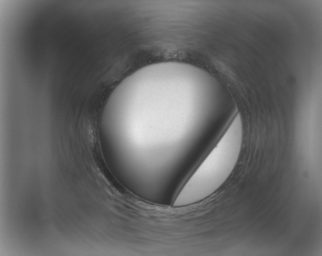 X0000071330039200606230815