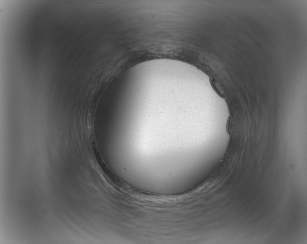 X0000071330040200606230815