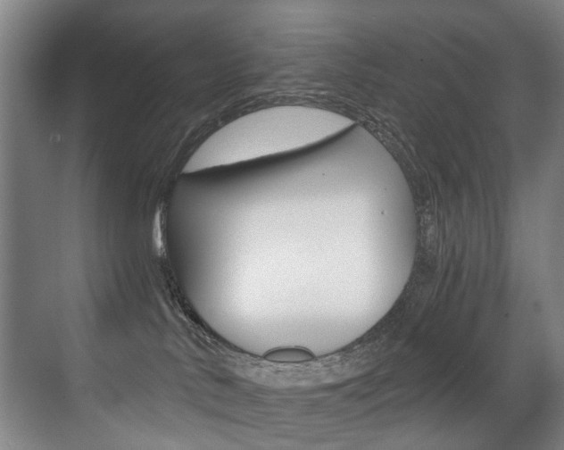 X0000071330042200606230815