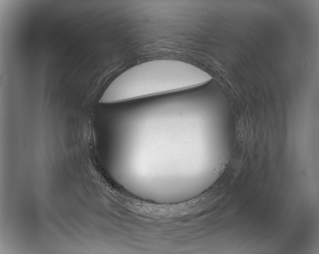 X0000071330043200606230815