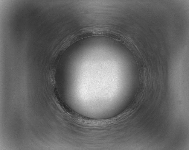 X0000071330044200606230815